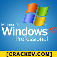 windows xp key
